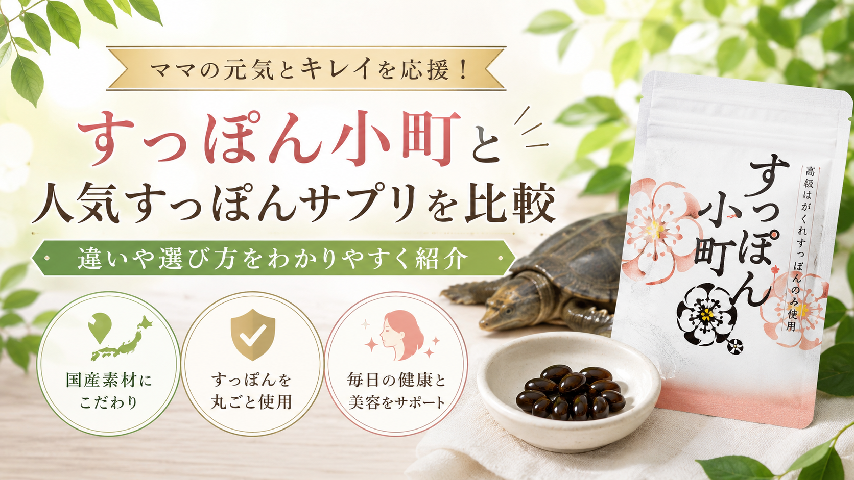 すっぽん小町と人気すっぽんサプリを比較｜違いや選び方を紹介