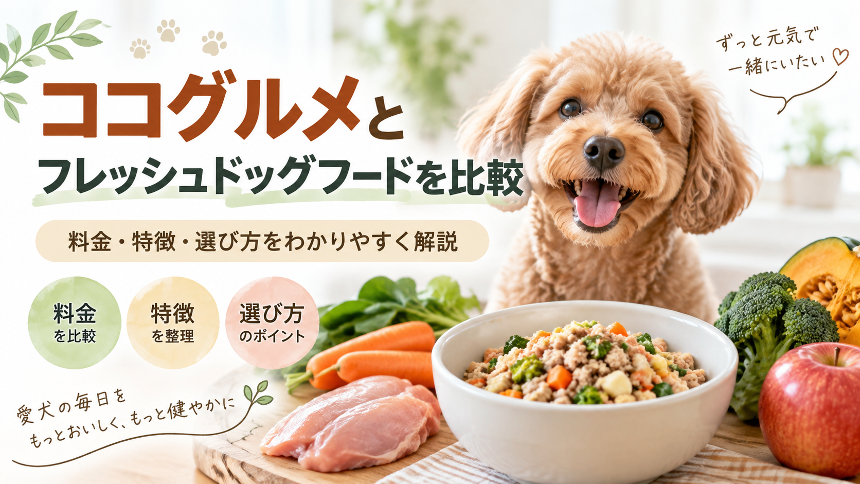 ココグルメとフレッシュドッグフードを比較｜料金・特徴・選び方をわかりやすく解説