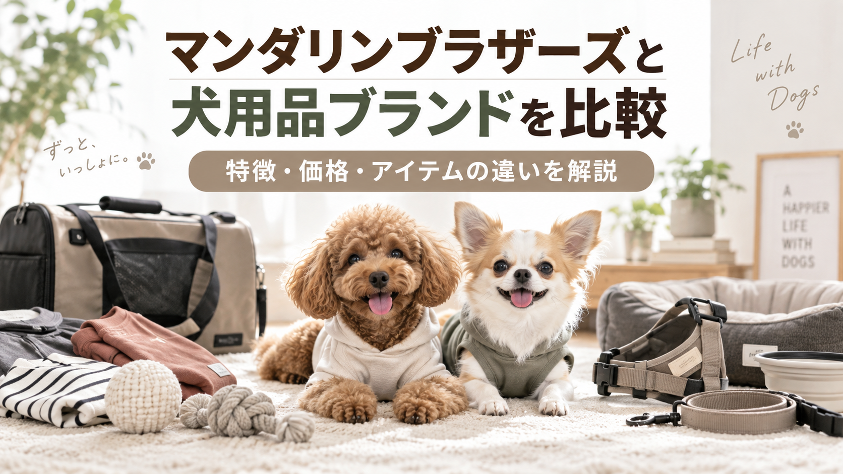マンダリンブラザーズと犬用品ブランドを比較|特徴・価格・アイテムの違いを解説
